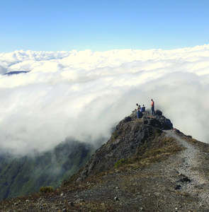 Meet your Posher, Connor